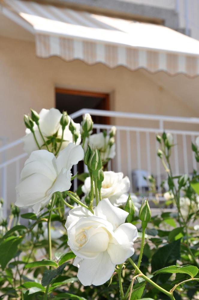 Apartment Bilic Pula Luaran gambar