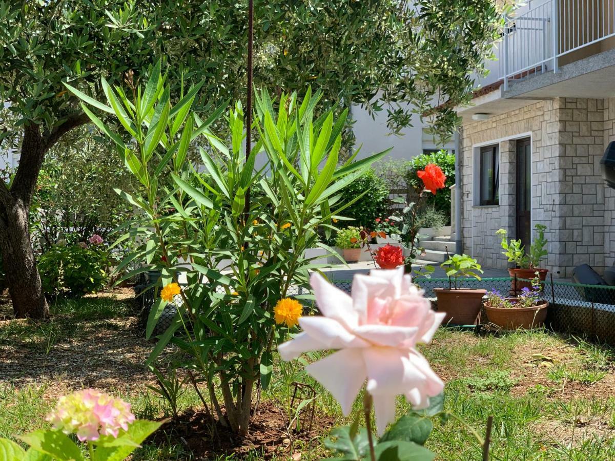 Apartment Bilic Pula Luaran gambar